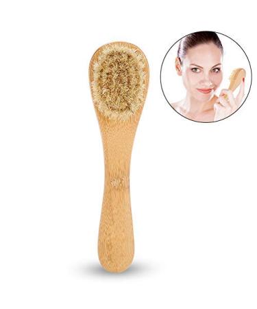 Natural Exfoliating Body Brush with Natural Bristles - Wet & Dry Brushing for Radiant Skin - Buy Online on GoSupps.com