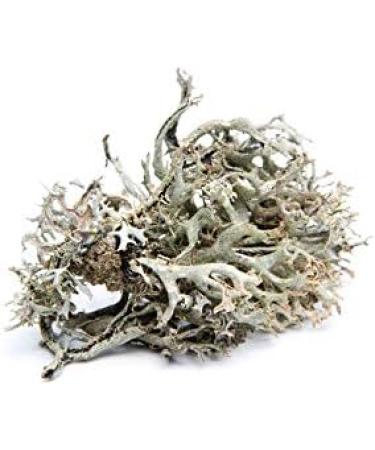 Large Herbal Package for Vaporizers & Aromatherapy - 235g of Scented Herbs & Incense - Buy Online on GoSupps.com