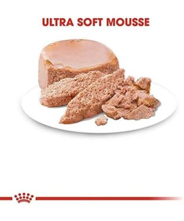 Royal Canin First Age Mother & Babycat Mousse 6 x 195g - Buy Online on GoSupps.com