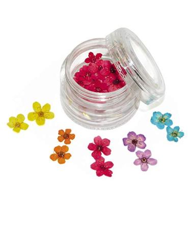 A4N AKTIVE4NAILS Real flowers to insert into gel or varnish