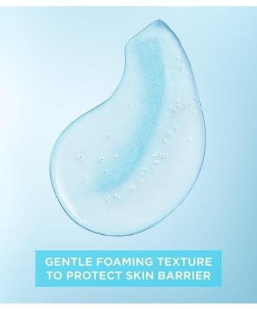 Garnier Gentle Deep Face Cleanser With Hydrating Hyaluronic Acid Protecting Ceramides Purifying Clay Fragrance Free Suitable For Sensitive Skin Pure Active 250ml (Pack of 5) 250 ml (Pack of 5) Hydrating Gentle Deep Cleanser - Buy Online on GoSupps.com