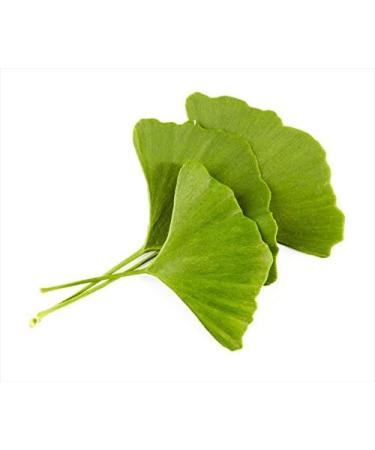 Ginkgo Leaf - Premium Ginkgo Biloba Loose Leaf 100% from Nature (12 oz) 12 Ounce (Pack of 1) - Buy Online on GoSupps.com