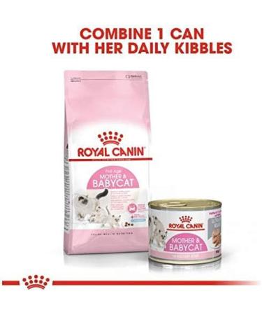 Royal Canin Mother & Babycat Mousse | 195 g | Complete Food for Cats | Specially designed for the mother and her puppies | po - Buy Online on GoSupps.com