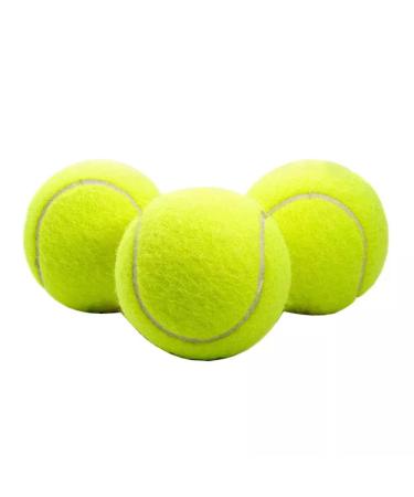 ACCURATE Durable Sport Play Tennis Cricket Dog Toy Ball with Mesh Carrying Bag Sturdy & Durable Great For Lessons Practice Throwing Machines Adults Children Exercise Pets 3 PK