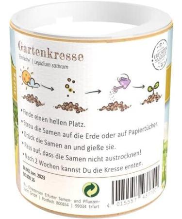 Buy Simple Garden Cress Sprinkler Box for Kids | International Shipping Available - Buy Online on GoSupps.com