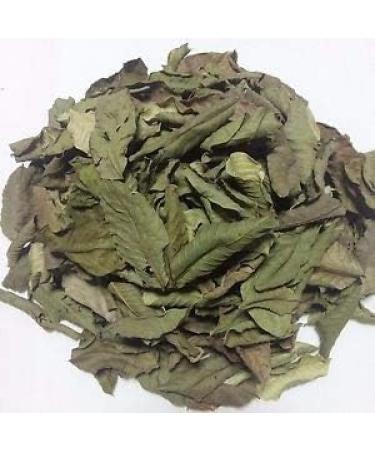 NN Guava Leaves Psidium Guajava (50 g) - Buy Online on GoSupps.com