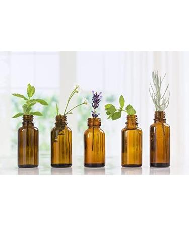 Bergamot Mandarin Essential Oil - 100% Pure Aromatherapy Grade - Nature's Note Organics - 0.3 Fl Oz | International Shipping Available - Buy Online on GoSupps.com