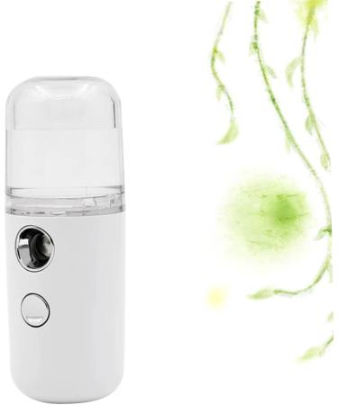 Healeved 3 Pcs Spray Humidifier Nano Mist Sprayer Umidificador De Ar Portable Nano Facial Mister White 10cmX4cmx3pcs - Buy Online on GoSupps.com