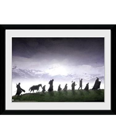GB eye The Lord of The Rings Fellowship 30x40cm Framed Collector Print - Officially Licensed Merchandise - Buy Online on GoSupps.com