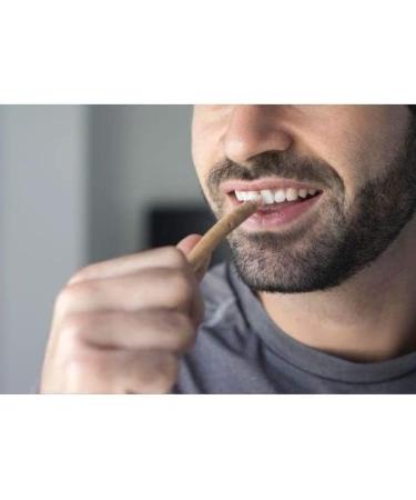 Miswak - 100% Natural & Herbal Chewing Stick Toothbrush Roots Twigs Stem Datun Salvadora Persica Ancient Remedy Dental Care Oral Hygiene Healthy Teeth & Gums Fresh Breath Pack - 3/5 / 10 Pack of 10 - Buy Online on GoSupps.com