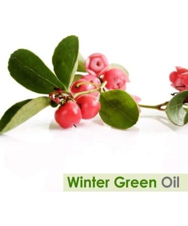 Crysalis Wintergreen (Gaultheria Procumbens) Oil |100% Pure & Natural Undiluted Essential Oil Organic Standard|for Undiluted Therapeutic Grade |Aromatherapy Oil| for All Skin Types- 30ml with Dropper - Buy Online on GoSupps.com