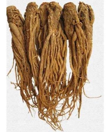 bodi : Dong Quai Root Powder | 4oz to 5lb | 100% Pure Natural Hand Crafted (4 oz) 4 Ounce (Pack of 1) - Buy Online on GoSupps.com