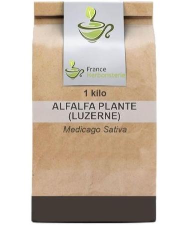 Herbal tea Alfalfa (Alfalfa) plant 100 GRS Medicago sativa - Buy Online on GoSupps.com