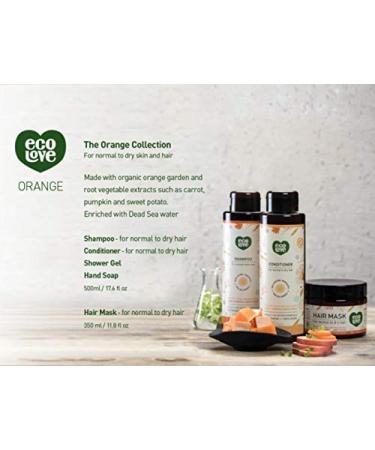 ecoLove Natural Shampoo for Dry & Color-Treated Hair - Vegan, SLS & Paraben-Free, Organic Carrot & Pumpkin Extract, 17.6 oz - Buy Online on GoSupps.com