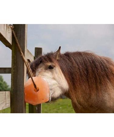 Horses Lick Natural Pink Salt Natural shape salt with strong hanging Rope | Suitable for all Animals | 1-2KG - Buy Online on GoSupps.com