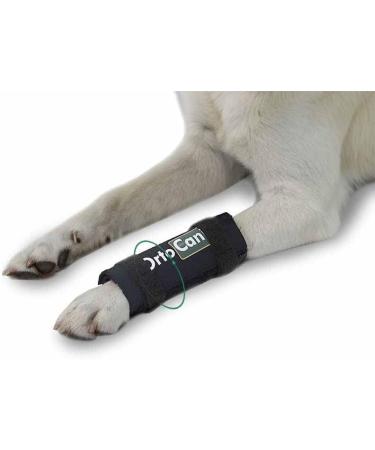 Ortocanis Carpal Support for Dogs with Arthrosis, Ligament Injuries, or Unstable Carpus - Size S | Shop Now - Buy Online on GoSupps.com