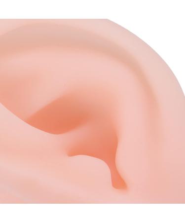 Soft Silicone Ear Models - 1 Pair | Flexible & Simulated for Hospital Display & Learning - Buy Online on GoSupps.com