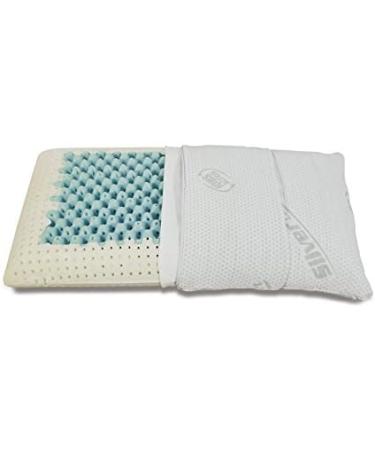 Evergreenweb Memory Foam Couple Pillow with Air Massage - 70x40 cm Neck Support Breathable Silver & Natural Cotton Mite-Active | Perfect for Couples - Buy Online on GoSupps.com
