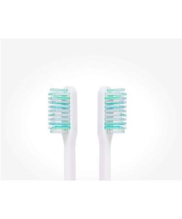 Buy Zumaha Compact Toothbrush - Medium-Proof Bristles Portable & Ergonomic (Pack of 10) for Men & Women | Ideal for Travel - Best Price Online - Buy Online on GoSupps.com