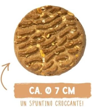 Sammy's Hundesnacks Sammy's Muslitaler | Crispy Dog Snacks | 5 Grains for Your Big Fur Nose (from 30 kg) | 5 kg - Buy Online on GoSupps.com