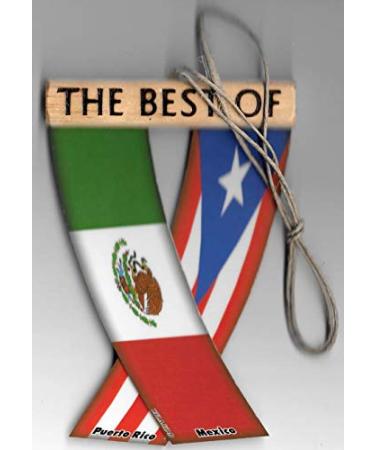 PUERTO RICO AND MEXICO MEXIRICAN BORICUA MEJICANO CARIBBEAN SOUTH AMERICAN REARVIEW MIRROR MINI BANNER HANGING FLAGS FOR THE CAR UNITY FLAGZ