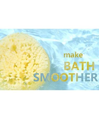 Large Greek Mediterranean Natural Sea Sponge - 5 Inches Plus | Bath Tools for Soft and Smooth Skin - Buy Online on GoSupps.com