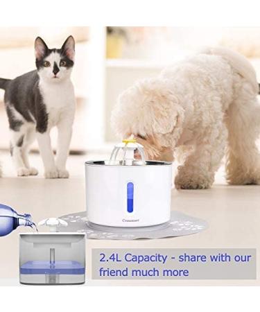 Comsmart 81oz LED Cat Water Fountain - Stainless Steel Automatic Pet Drinking Dispenser - Grey - Buy Online on GoSupps.com