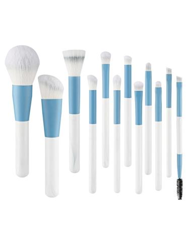 12-Piece Makeup Brush Set for Beginners | Soft Hair Powder & Eye Shadow Brushes | Essential Beauty Tools for Flawless Application - Buy Online on GoSupps.com