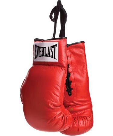 Everlast Vinyl Pair of Red Boxing Gloves - Great for Autographs