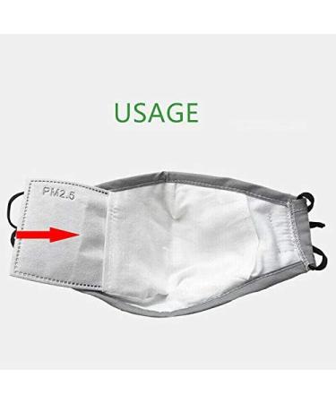 RWET Protective Usful PM2.5_M sk_Filters Activated Carbon M sk_Filters Breathing Insert Protective Mouth_M sk_Filters - Buy Online on GoSupps.com