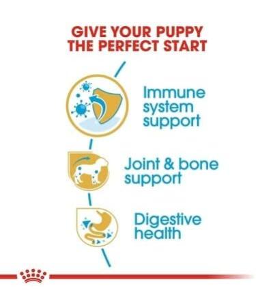 Royal Canin Dachshund Puppy Food 1.5kg (Pack of 2) - Buy Online on GoSupps.com