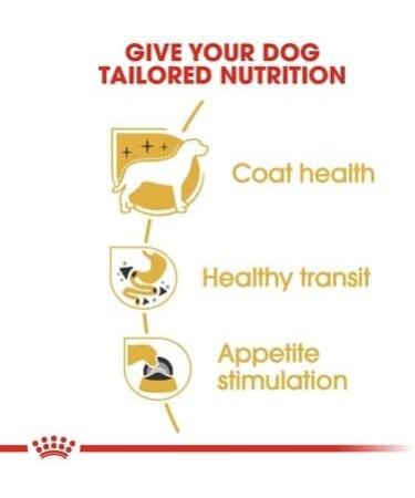 ROYAL CANIN Chihuahua Adult Wet Dog Food Pouches 12x 85g - Nutritious Meal for Chihuahuas - Buy Online on GoSupps.com