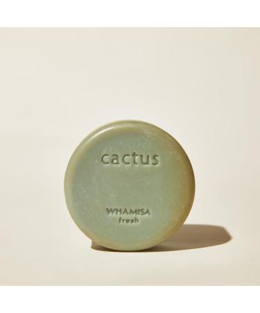 Buy Whamisa Fresh Cactus Soap - Natural Skincare for All Skin Types | International Shipping Available - Buy Online on GoSupps.com