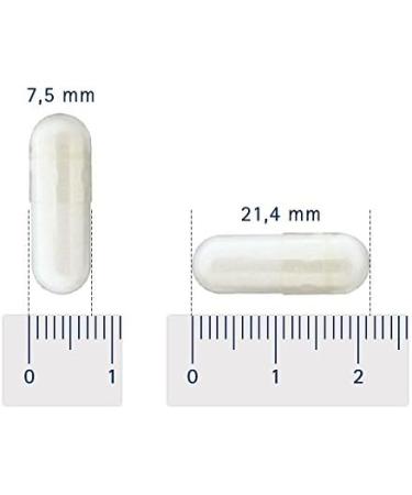 Ma Sant Naturelle Premium Micronized Natural PEA Palmitoylethanolamide - 270 Vegetable Capsules (3 Month Dosage) Made in the EU Also Available in 30 and 90 Capsules - Buy Online on GoSupps.com