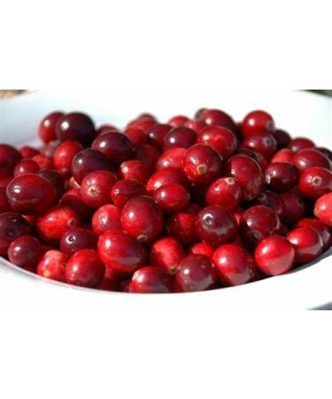 Natural Water Away - Effective Diuretic Formula for Fluid Balance | 120 Caps - Wellness Support - Buy Online on GoSupps.com