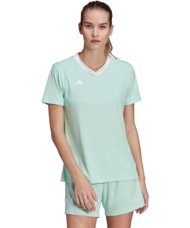 Buy Adidas Women's T-Shirt XS - Clear Mint | Stylish & Comfortable | International Shipping Available - Buy Online on GoSupps.com
