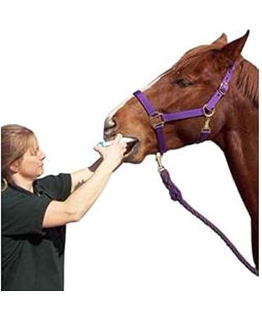Duramectin Ivermectin Paste 1.87% Horse Wormer - 2 Tubes | Effective Parasite Control - Buy Online on GoSupps.com