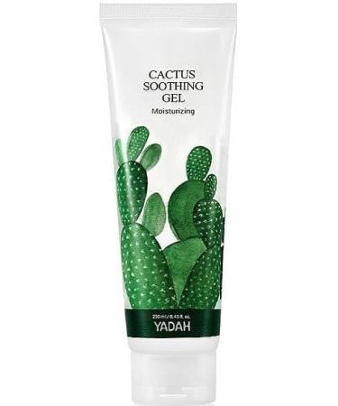 Yadah Cactus Soothing Gel 250 ml