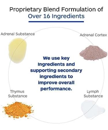 Professional Botanicals Adrenal Cortex Supplement, Adrenal Health Supplement Supports Healthy Adrenal Gland Function - 90 Veg Capsules - Buy Online on GoSupps.com