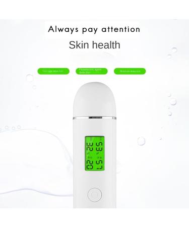 GUIJIALY 1 Piece LCD Digital Water Oil Moisture Tester Fluorescent Agent Skin Analyzer Detector Face Care Tool Portable - Buy Online on GoSupps.com