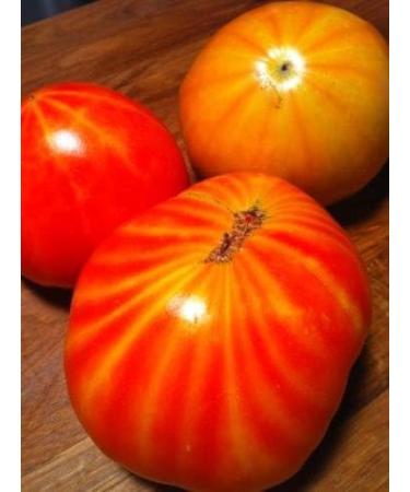 30 mr Stripey Tomato 2018 (All Non-ogm semi-cimel Vegetable!) - Buy Online on GoSupps.com