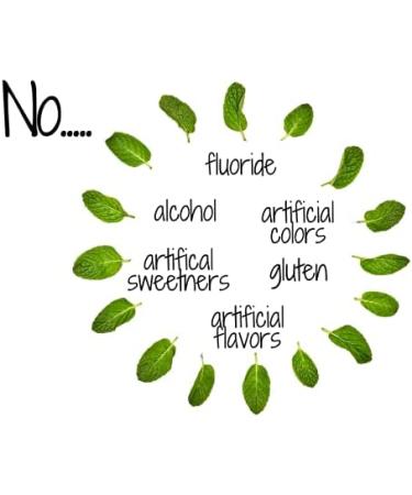 Dental Herb Company Essentials Toothpaste Traveler 12 Pack with Bamboo Toothbrush - Set of 12 - Buy Online on GoSupps.com