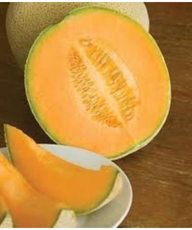 35 Hales Best Jumbo Cantaluupe 2017 (All Non-ogm semi-cimel Vegetable!)
