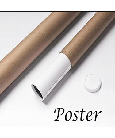 Pelvic Floor Physical Therapist Poster | Women's Health | Prolapse & Therapy Art | Canvas & Prints for eCommerce - Buy Online on GoSupps.com