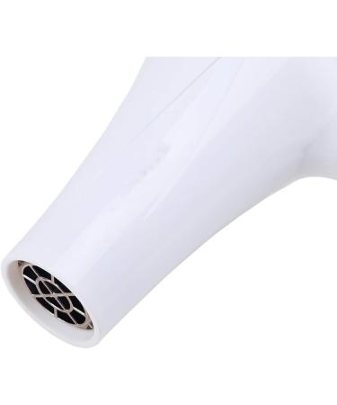 Professional Hair Dryer Salon Hairdryers 1600W with 2 Nozzles Lightweight Power Blow Dryer Fast Dry 2 Speed 3 Heat Cool Shot Setting Long Cable DC Motor Fast Drying Time and Frizz Free Shine White - Buy Online on GoSupps.com