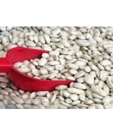 Organic Great Northern Beans 5 lbs - Non-GMO, Dried Bulk Beans from USA - Buy Online on GoSupps.com
