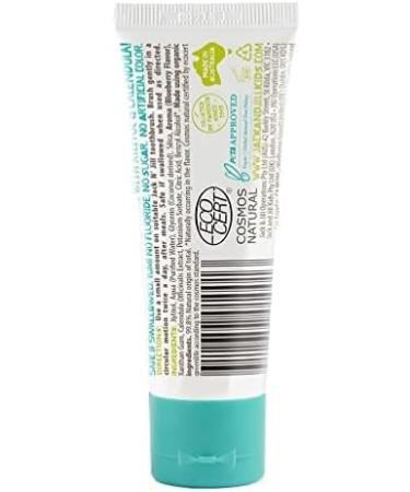 Jack N' Jill Kids Natural Toothpaste - Fluoride-Free Organic Blueberry & Strawberry - 1.76 oz (Pack of 2) - Buy Online on GoSupps.com