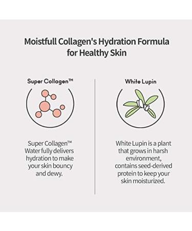  2019 NEW Etude House Moistfull Collagen Deep Cream 75 ml - Buy Online on GoSupps.com