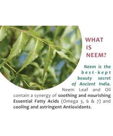 Organic Neem Leaf Capsules - 120 Count | 1500mg High Potency with Neem Leaf Extract - Buy Online on GoSupps.com