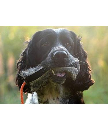 Firedog Food Dummy with Real Rabbit Fur - Waterproof Snack Dummy with Zipper for International Shipping - Buy Online on GoSupps.com